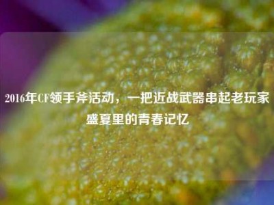 2016年CF领手斧活动，一把近战武器串起老玩家盛夏里的青春记忆