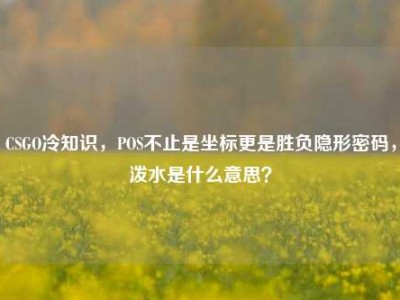 CSGO冷知识，POS不止是坐标更是胜负隐形密码，泼水是什么意思？