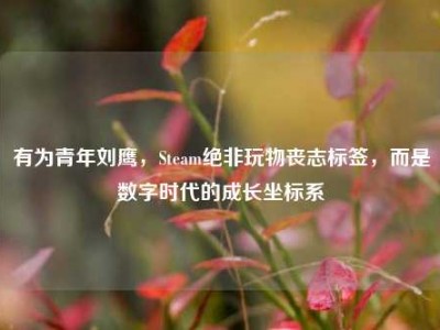 有为青年刘鹰，Steam绝非玩物丧志标签，而是数字时代的成长坐标系