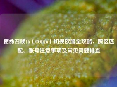 使命召唤16（COD16）切换欧服全攻略，跨区匹配、账号注意事项及常见问题排查
