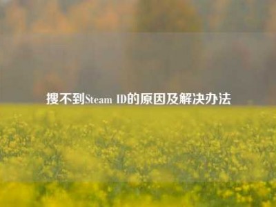 搜不到Steam ID的原因及解决办法