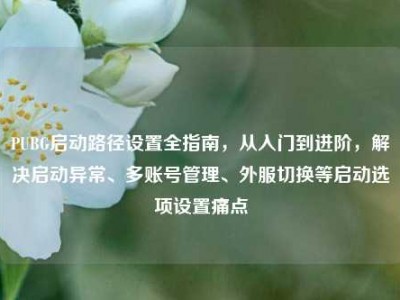 PUBG启动路径设置全指南，从入门到进阶，解决启动异常、多账号管理、外服切换等启动选项设置痛点