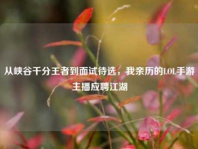从峡谷千分王者到面试待选，我亲历的LOL手游主播应聘江湖