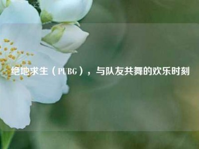 绝地求生（PUBG），与队友共舞的欢乐时刻