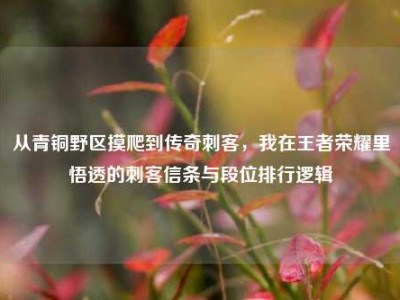 从青铜野区摸爬到传奇刺客，我在王者荣耀里悟透的刺客信条与段位排行逻辑