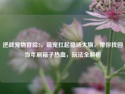 逆战宠物冒险2，萌宠扛起猎场大旗，带你找回当年刷箱子热血，玩法全解析