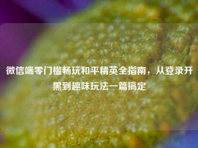 微信端零门槛畅玩和平精英全指南，从登录开黑到趣味玩法一篇搞定