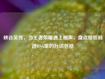 峡谷笑传，当王者荣耀遇上相声，盘点那些刻进DNA里的台词包袱