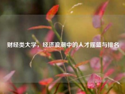 财经类大学，经济浪潮中的人才摇篮与排名