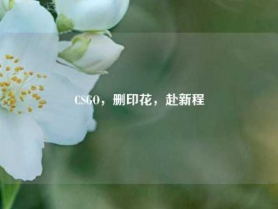CSGO，删印花，赴新程