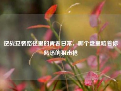 逆战安装路径里的青春日常，哪个盘里藏着你熟悉的狙击枪