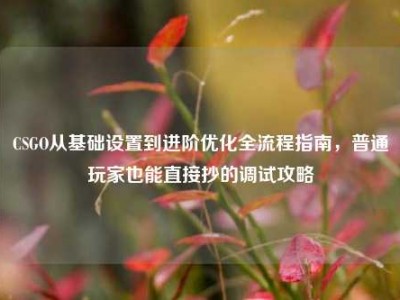 CSGO从基础设置到进阶优化全流程指南，普通玩家也能直接抄的调试攻略