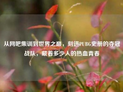 从网吧集训到世界之巅，刻进PUBG史册的夺冠战队，藏着多少人的热血青春