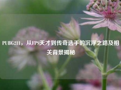 PUBG211，从FPS天才到传奇选手的沉浮之路及相关背景揭秘