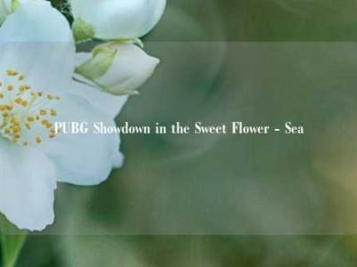 PUBG Showdown in the Sweet Flower - Sea