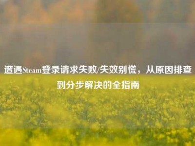 遭遇Steam登录请求失败/失效别慌，从原因排查到分步解决的全指南