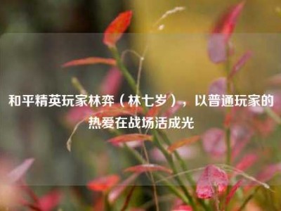 和平精英玩家林弈（林七岁），以普通玩家的热爱在战场活成光