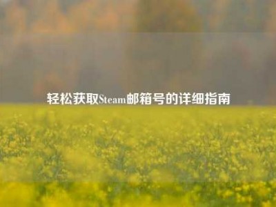 轻松获取Steam邮箱号的详细指南