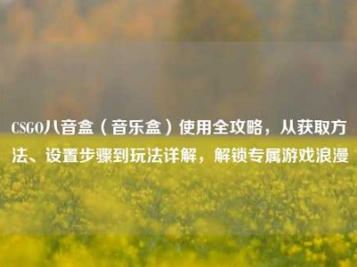 CSGO八音盒（音乐盒）使用全攻略，从获取方法、设置步骤到玩法详解，解锁专属游戏浪漫