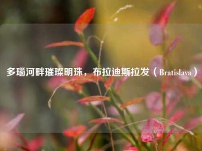 多瑙河畔璀璨明珠，布拉迪斯拉发（Bratislava）