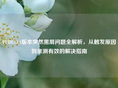 PUBG13.1版本突然黑屏问题全解析，从触发原因到亲测有效的解决指南