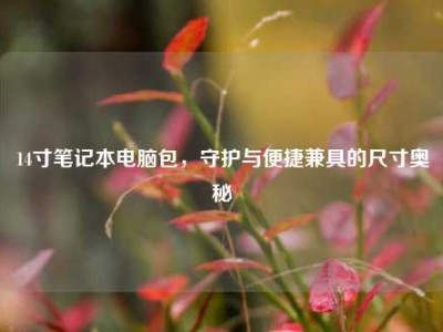 14寸笔记本电脑包，守护与便捷兼具的尺寸奥秘