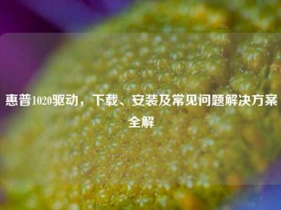 惠普1020驱动，下载、安装及常见问题解决方案全解