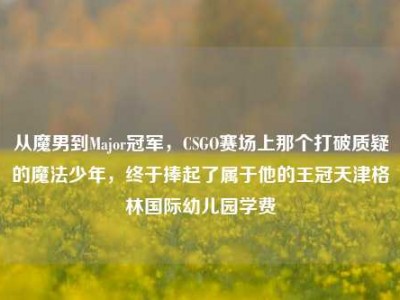 从魔男到Major冠军，CSGO赛场上那个打破质疑的魔法少年，终于捧起了属于他的王冠天津格林国际幼儿园学费