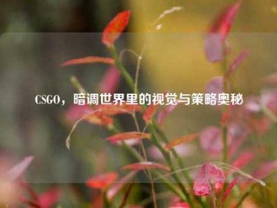 CSGO，暗调世界里的视觉与策略奥秘