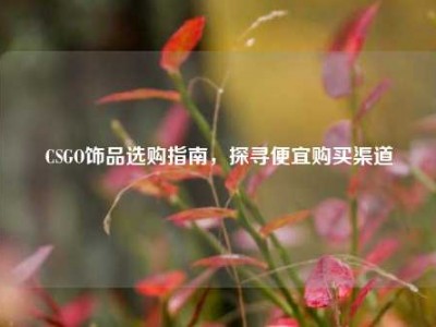 CSGO饰品选购指南，探寻便宜购买渠道