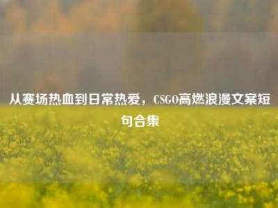 从赛场热血到日常热爱，CSGO高燃浪漫文案短句合集