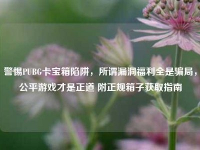 警惕PUBG卡宝箱陷阱，所谓漏洞福利全是骗局，公平游戏才是正道 附正规箱子获取指南