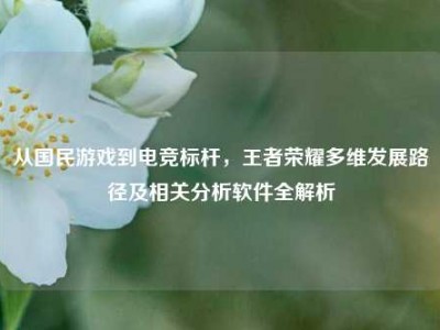 从国民游戏到电竞标杆，王者荣耀多维发展路径及相关分析软件全解析