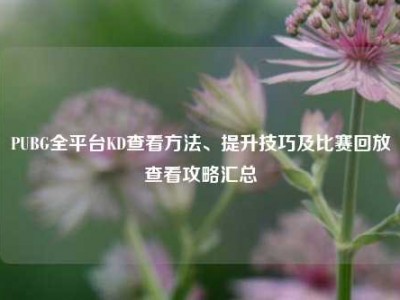 PUBG全平台KD查看方法、提升技巧及比赛回放查看攻略汇总