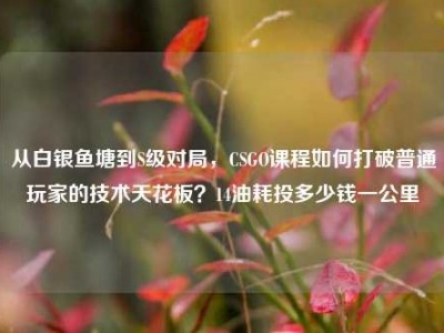 从白银鱼塘到S级对局，CSGO课程如何打破普通玩家的技术天花板？14油耗投多少钱一公里