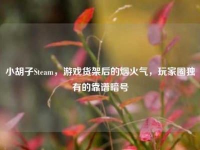 小胡子Steam，游戏货架后的烟火气，玩家圈独有的靠谱暗号
