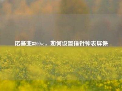 诺基亚8800se，如何设置指针钟表屏保