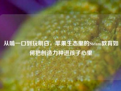 从啃一口到玩明白，苹果生态里的Steam教育如何把创造力种进孩子心里