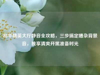 和平精英大厅静音全攻略，三步搞定嘈杂背景音，独享清爽开黑准备时光