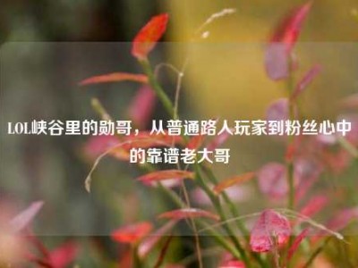 LOL峡谷里的勋哥，从普通路人玩家到粉丝心中的靠谱老大哥