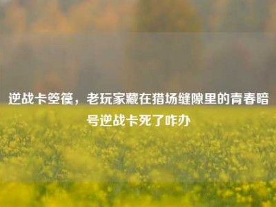 逆战卡箜篌，老玩家藏在猎场缝隙里的青春暗号逆战卡死了咋办
