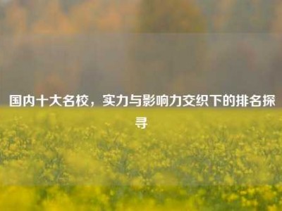 国内十大名校，实力与影响力交织下的排名探寻
