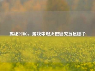 揭秘PUBG，游戏中熄火按键究竟是哪个
