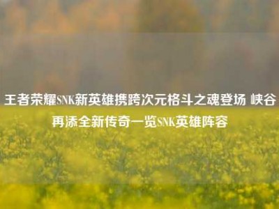 王者荣耀SNK新英雄携跨次元格斗之魂登场 峡谷再添全新传奇一览SNK英雄阵容