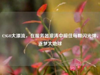 CSGO大漂流，在服务器浪涛中接住每颗闪光弹，逐梦大地球