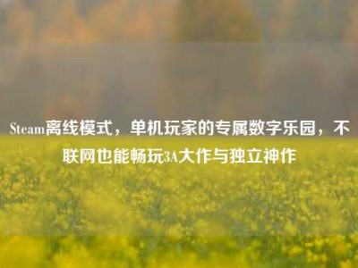 Steam离线模式，单机玩家的专属数字乐园，不联网也能畅玩3A大作与独立神作