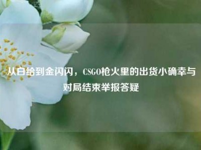 从白给到金闪闪，CSGO枪火里的出货小确幸与对局结束举报答疑