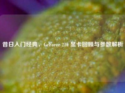 昔日入门经典，GeForce 210 显卡回顾与参数解析