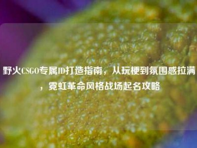 野火CSGO专属ID打造指南，从玩梗到氛围感拉满，霓虹革命风格战场起名攻略