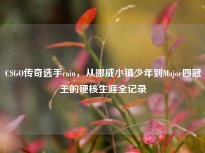 CSGO传奇选手rain，从挪威小镇少年到Major四冠王的硬核生涯全记录